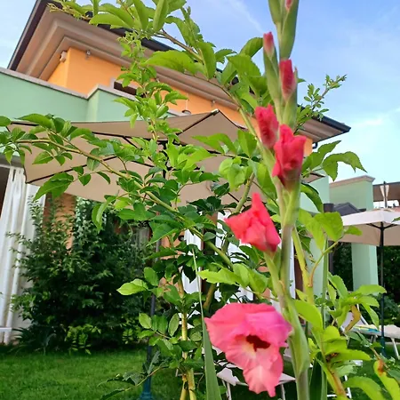 Regina Gardesana Luxury Villa *