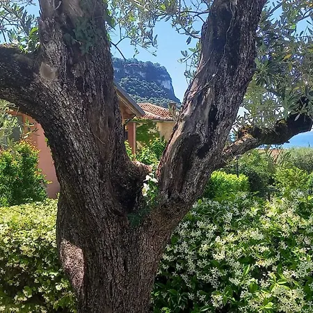 Βίλα Regina Gardesana Luxury